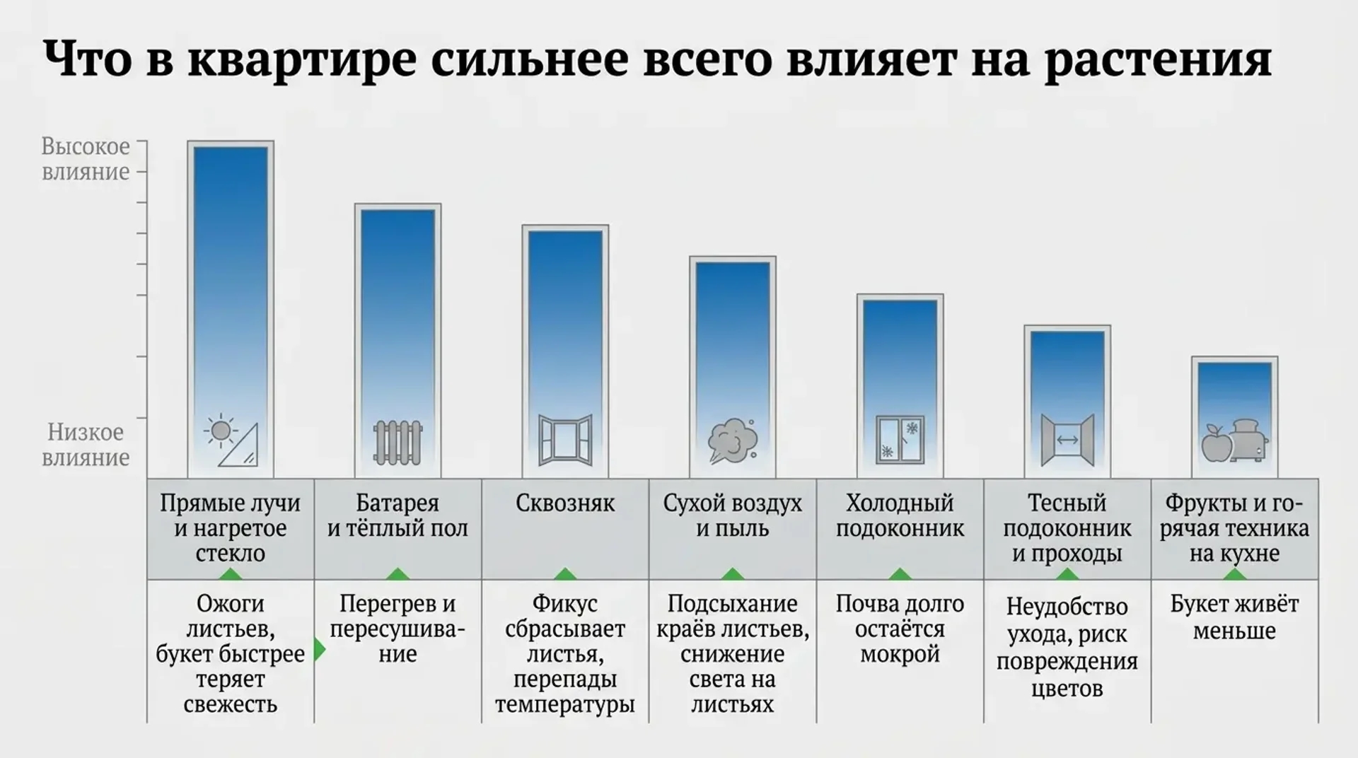 Что в квартире сильнее всего влияет на растения